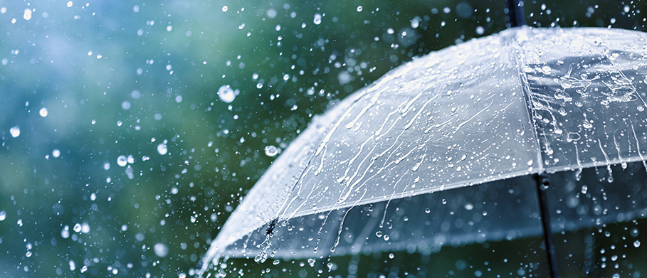 California Umbrella Insurance Coverage